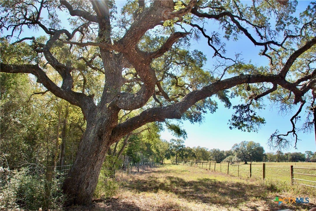 72 acres in Fayette County - photo 8