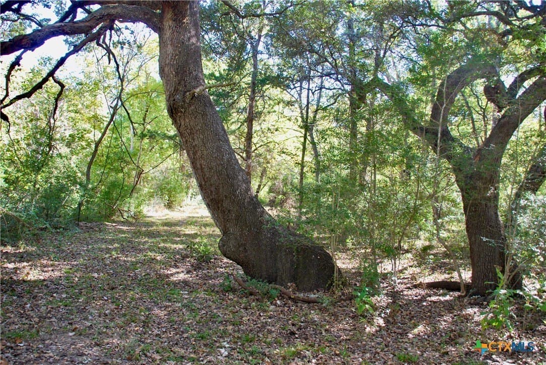 72 acres in Fayette County - photo 22