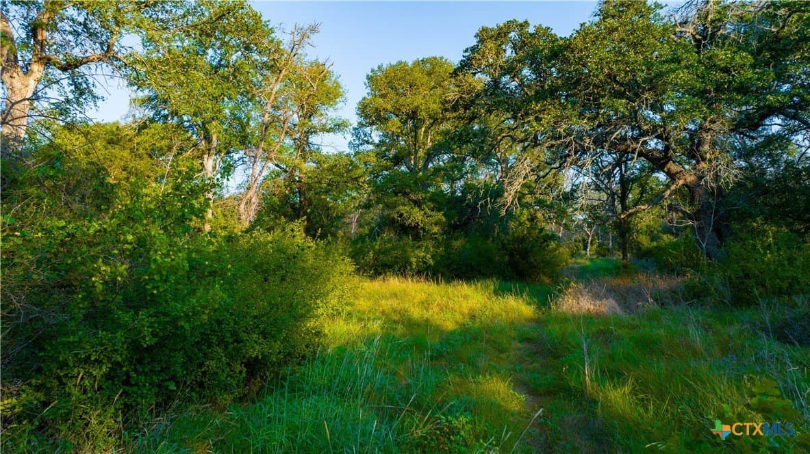 234 acres in Williamson County - photo 45