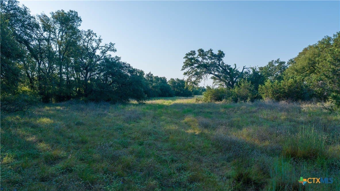 234 acres in Williamson County - photo 46