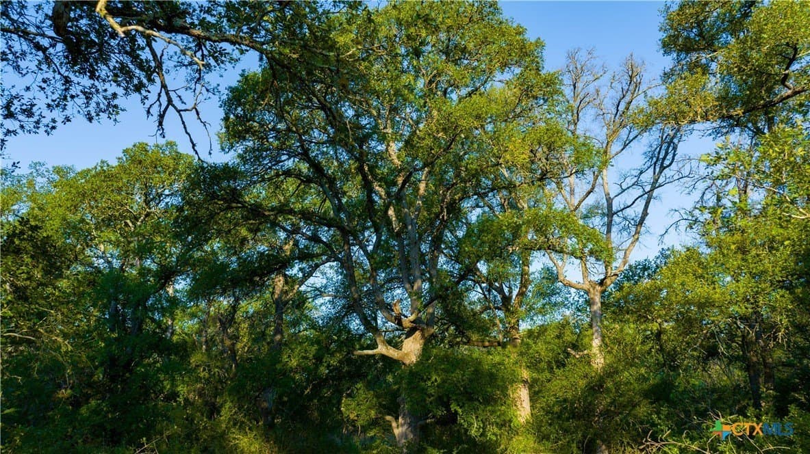 234 acres in Williamson County - photo 44