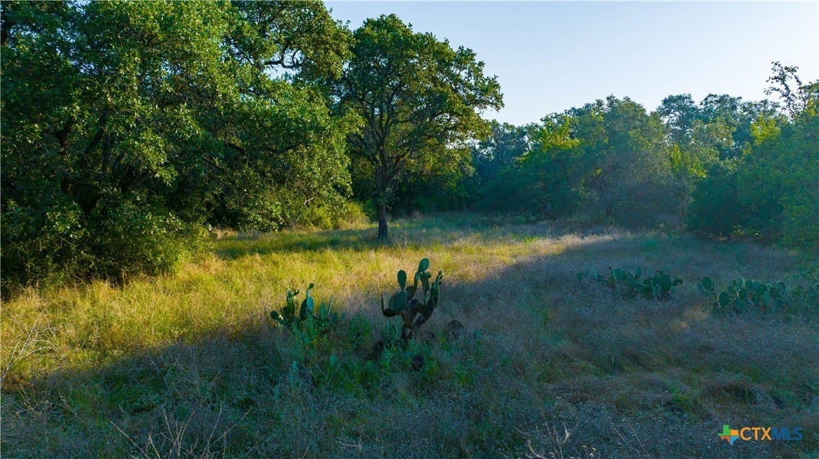 234 acres in Williamson County - photo 47