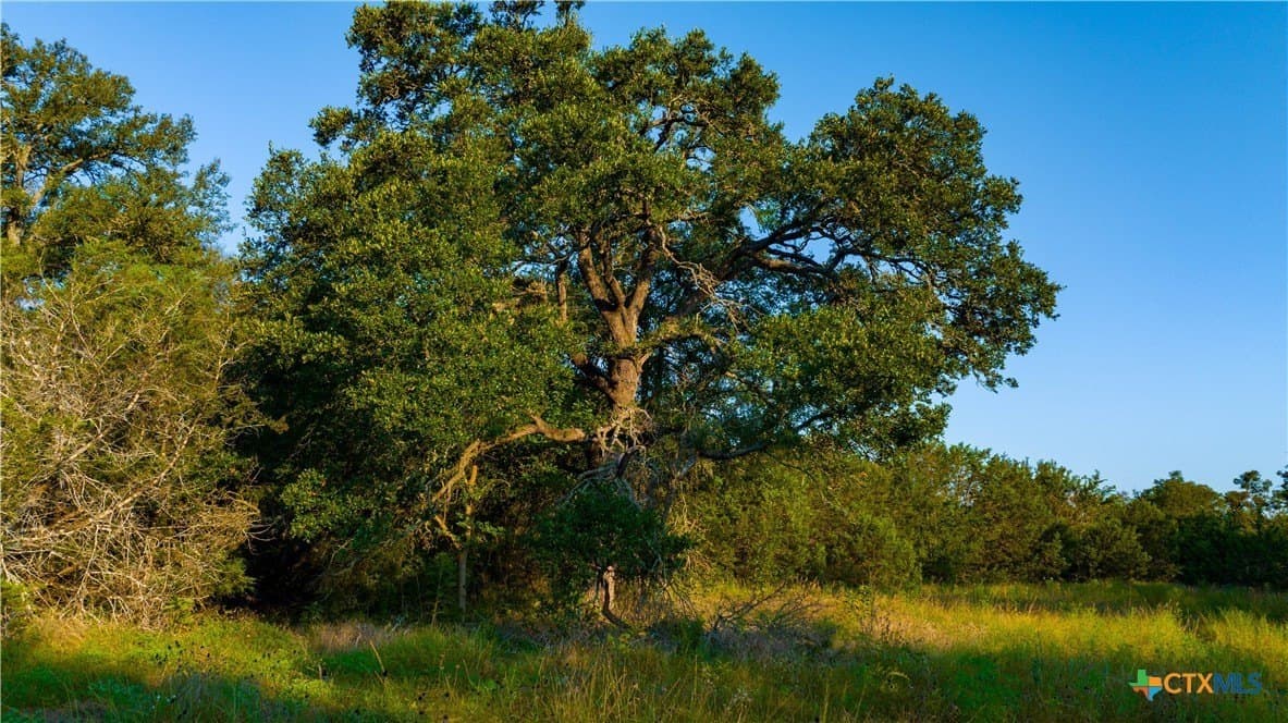 234 acres in Williamson County - photo 48