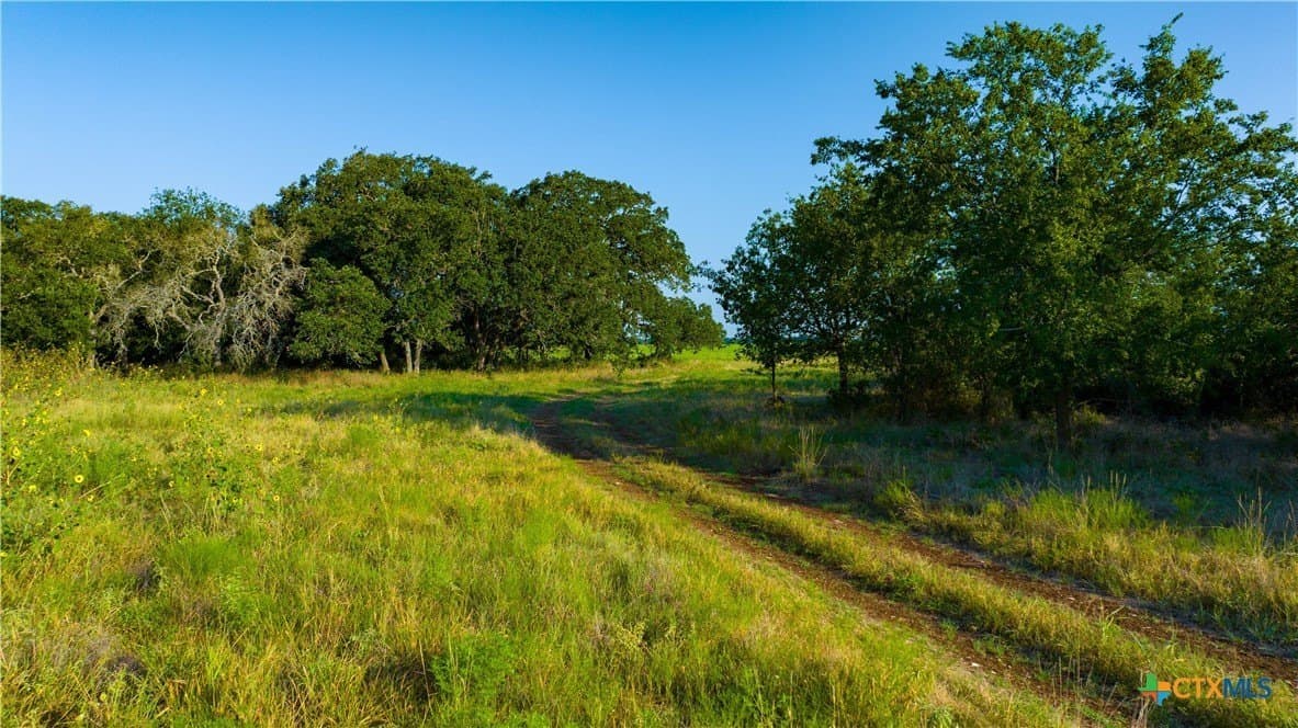 234 acres in Williamson County - photo 38