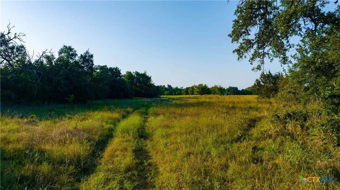 234 acres in Williamson County - photo 42