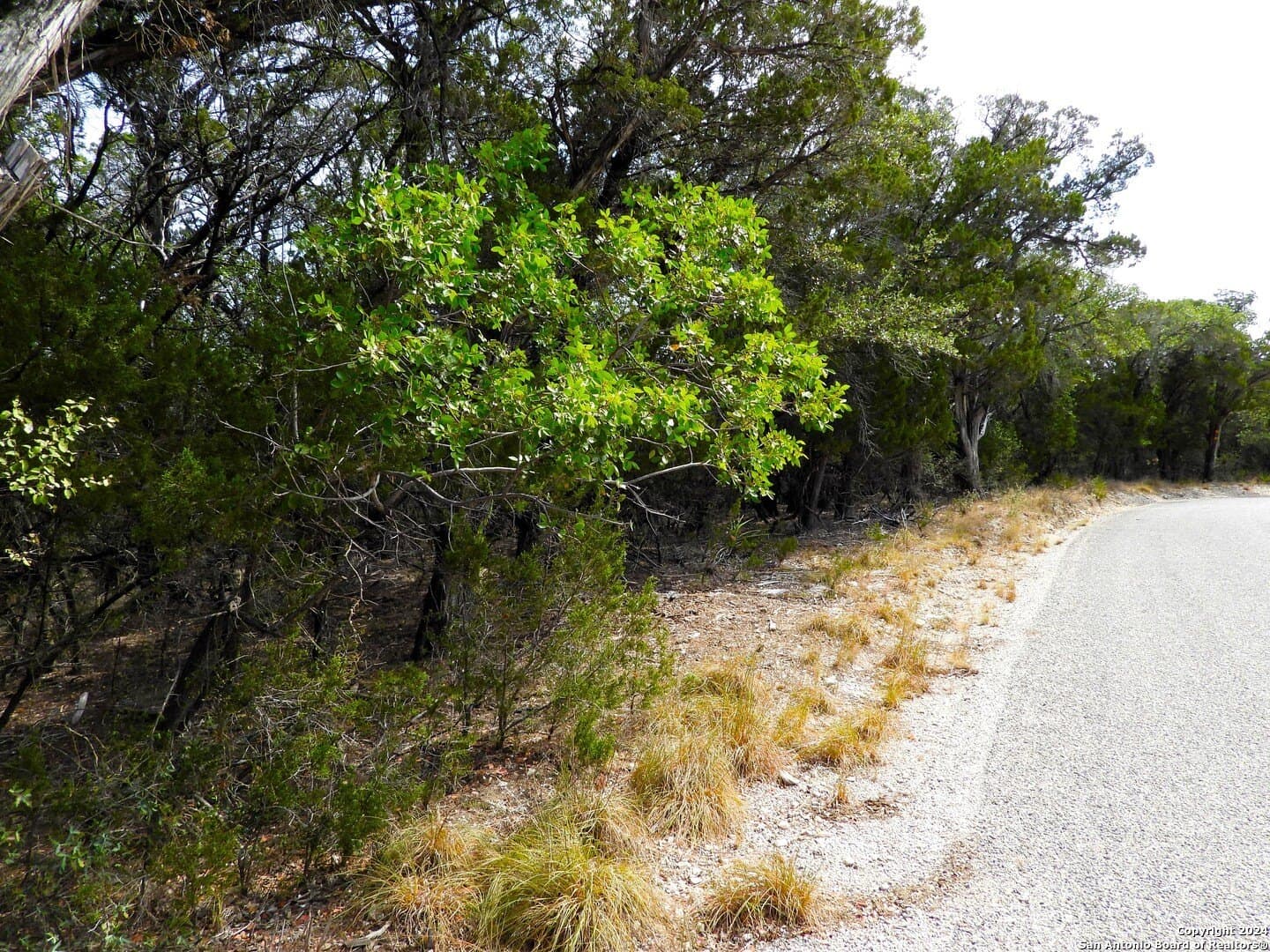 4.97 acres in Bandera County - photo 10