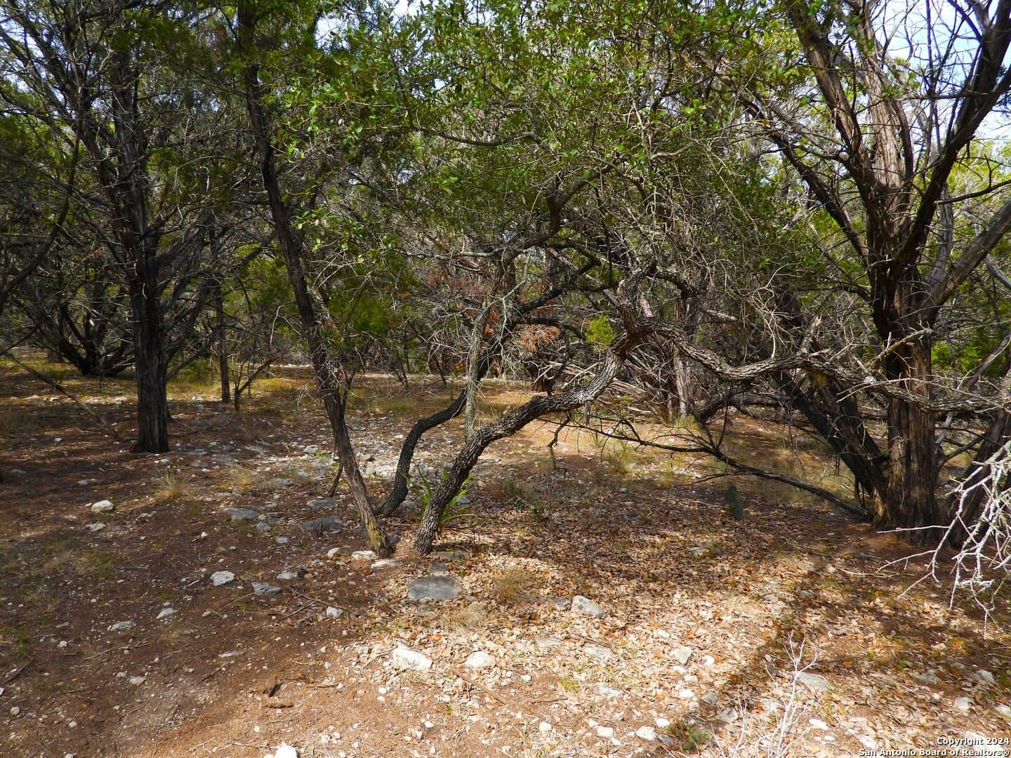 4.97 acres in Bandera County - photo 15
