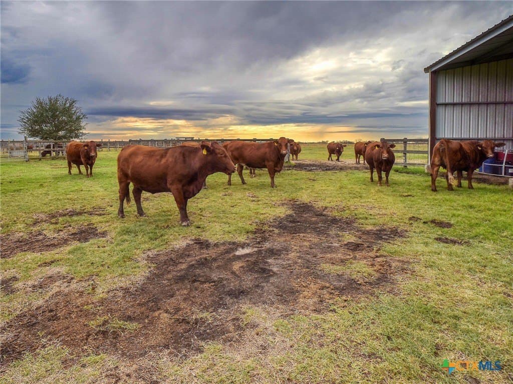 25 acres in Lavaca County - photo 44