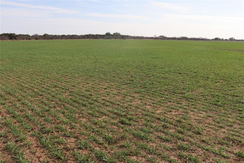 420 acres in Coleman County - photo 13