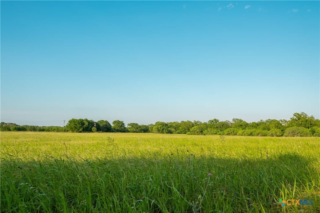 42.95 acres in Guadalupe County - photo 14