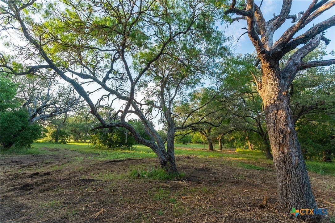 42.95 acres in Guadalupe County - photo 16