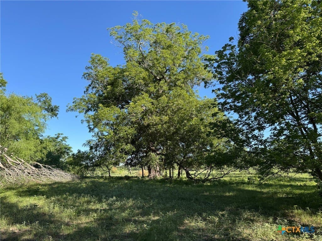 42.95 acres in Guadalupe County - photo 9