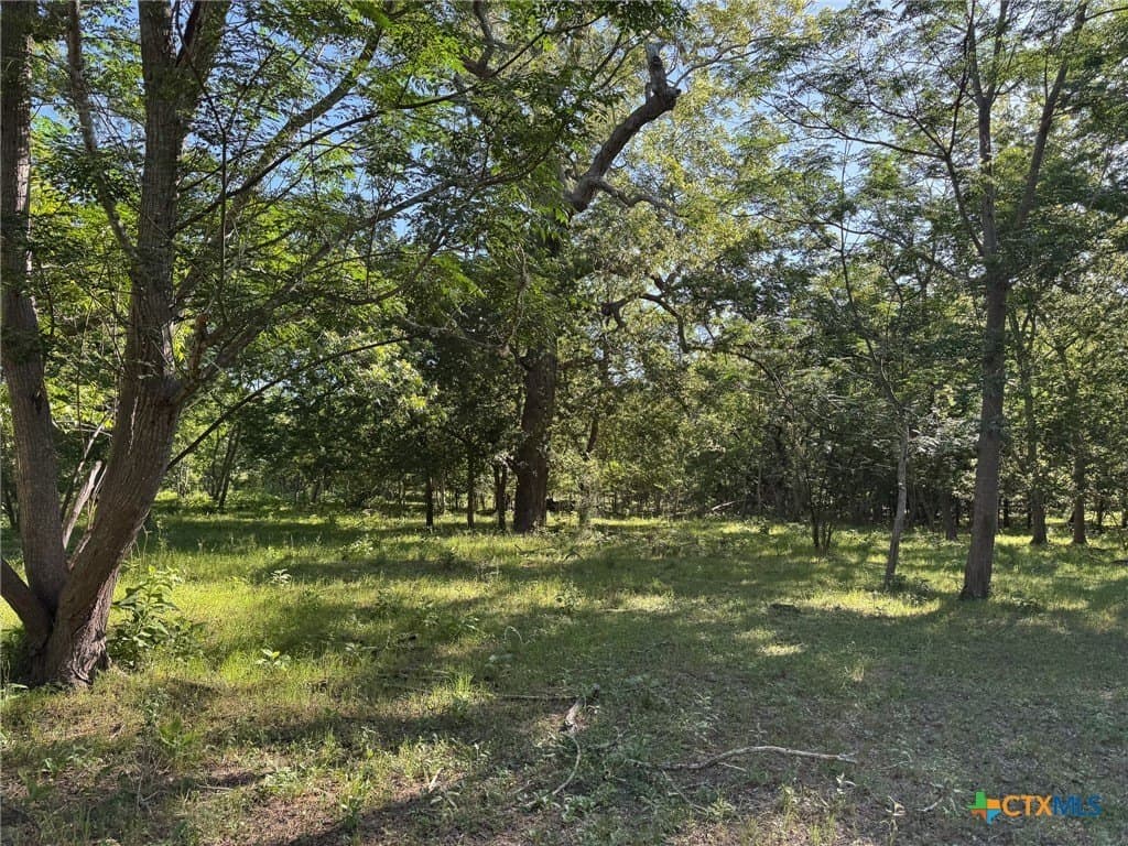 42.95 acres in Guadalupe County - photo 31