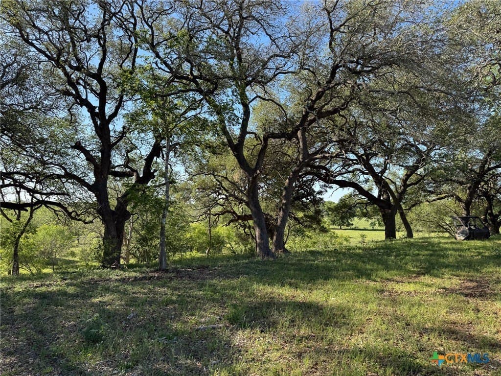 42.95 acres in Guadalupe County - photo 28