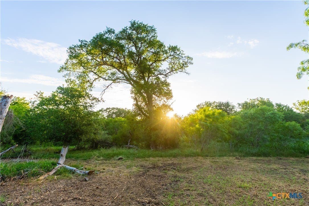 42.95 acres in Guadalupe County - photo 17