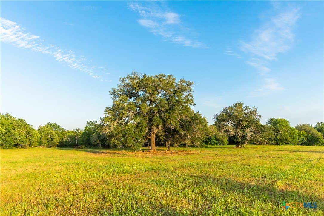 42.95 acres in Guadalupe County - photo 15