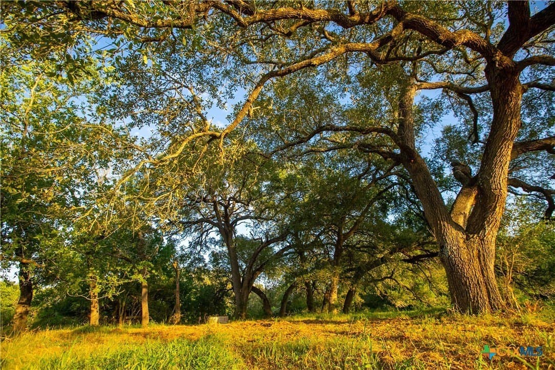 42.95 acres in Guadalupe County - photo 20