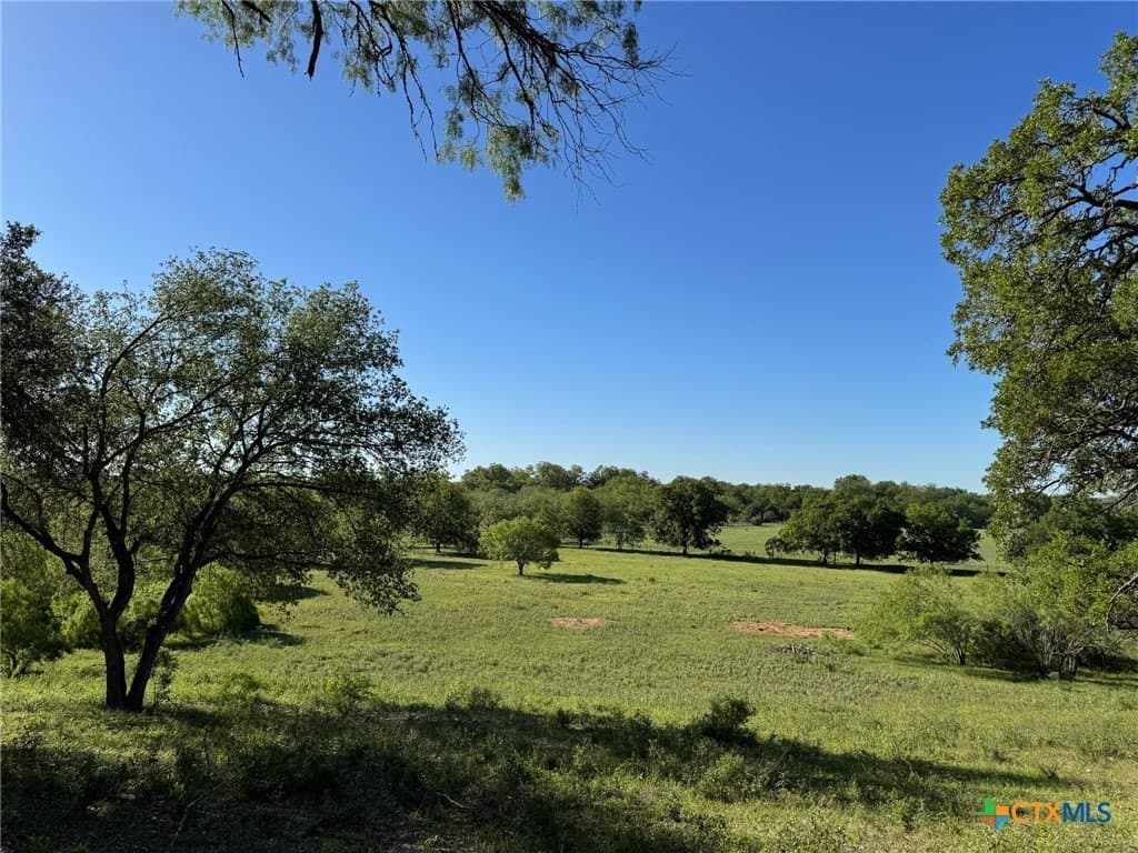 42.95 acres in Guadalupe County - photo 7