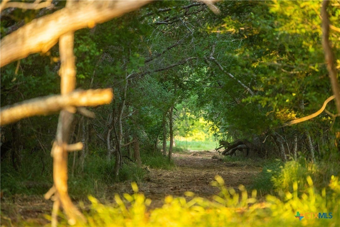 42.95 acres in Guadalupe County - photo 21