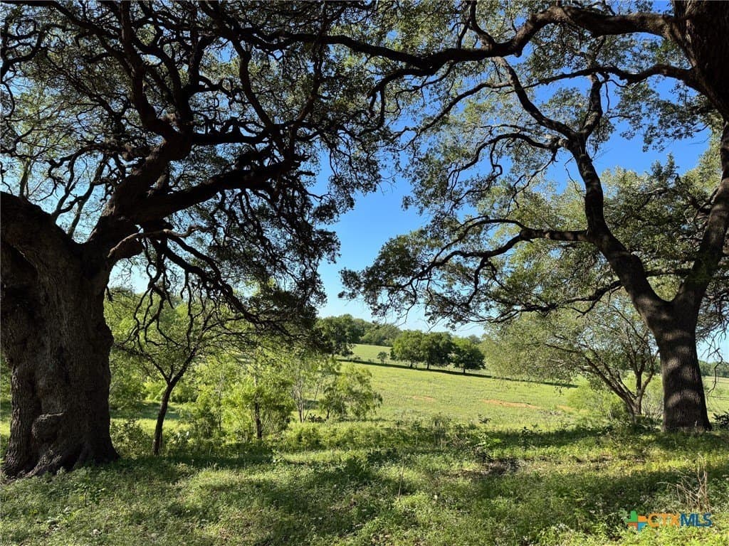 42.95 acres in Guadalupe County - photo 25
