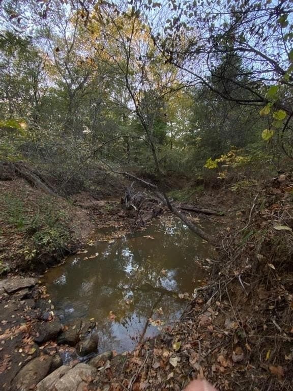 69.82 acres in Lamar County - photo 10