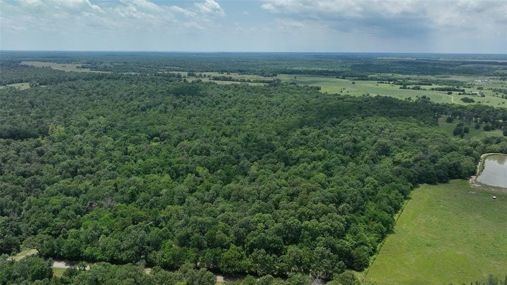 69.82 acres in Lamar County - photo 4