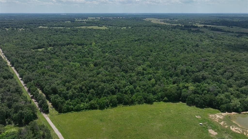 69.82 acres in Lamar County - photo 3