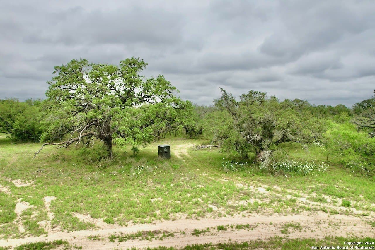 35 acres in Medina County - photo 9
