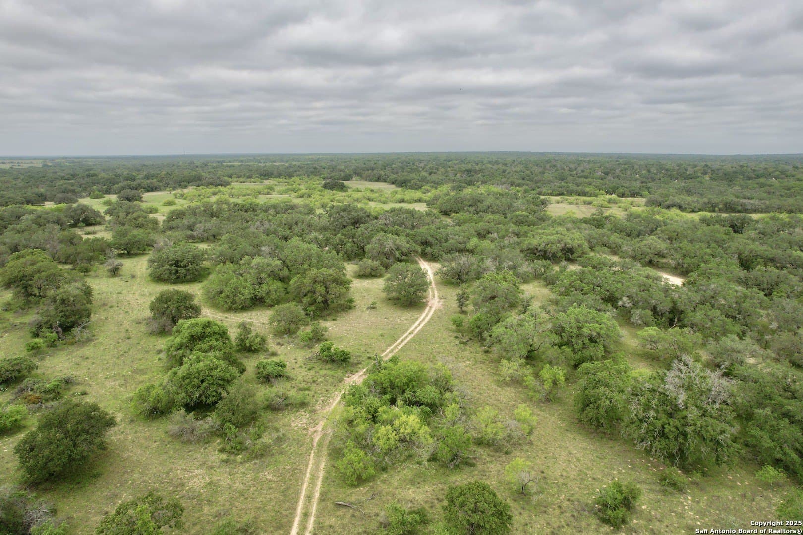 35 acres in Medina County - photo 29