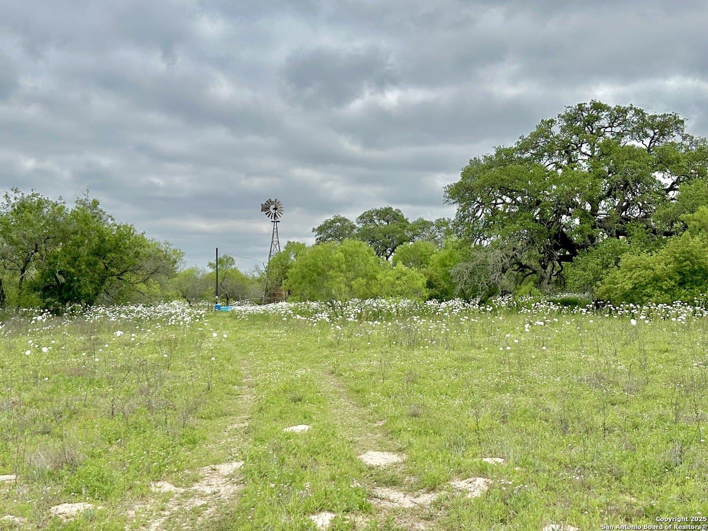 35 acres in Medina County - photo 37