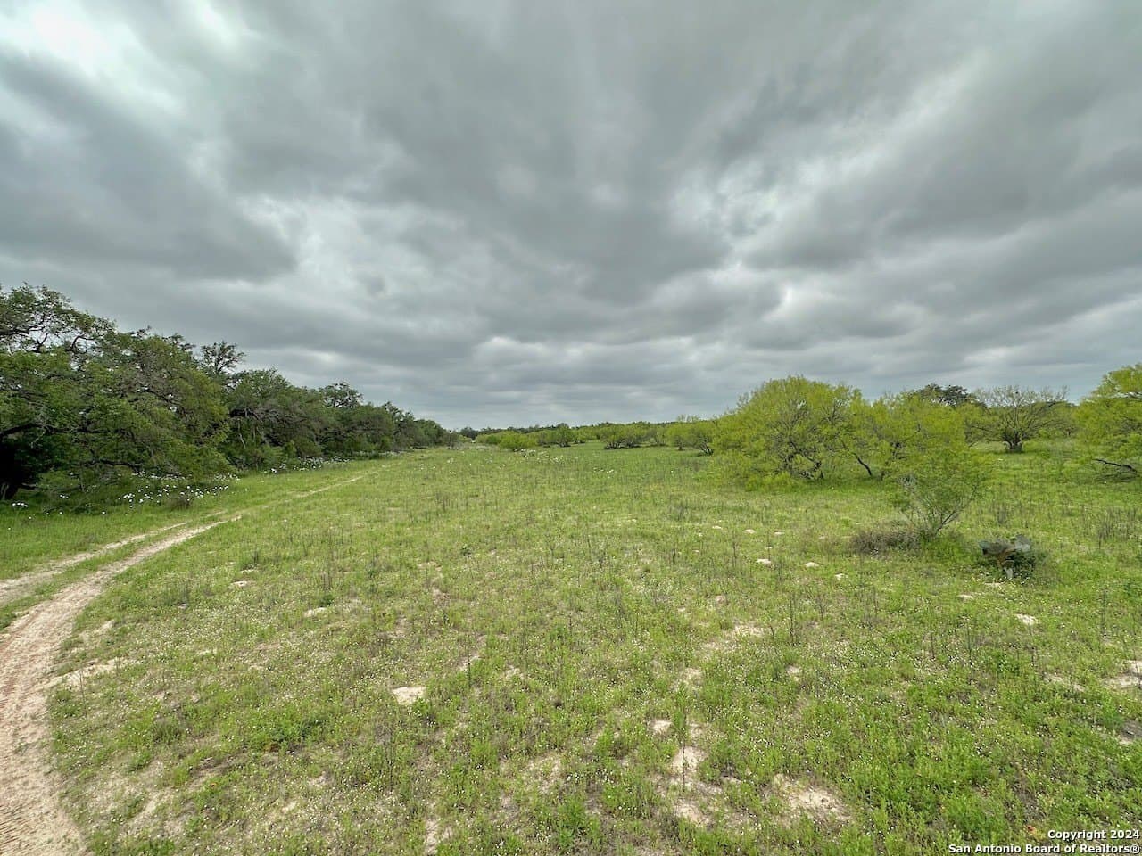 35 acres in Medina County - photo 20