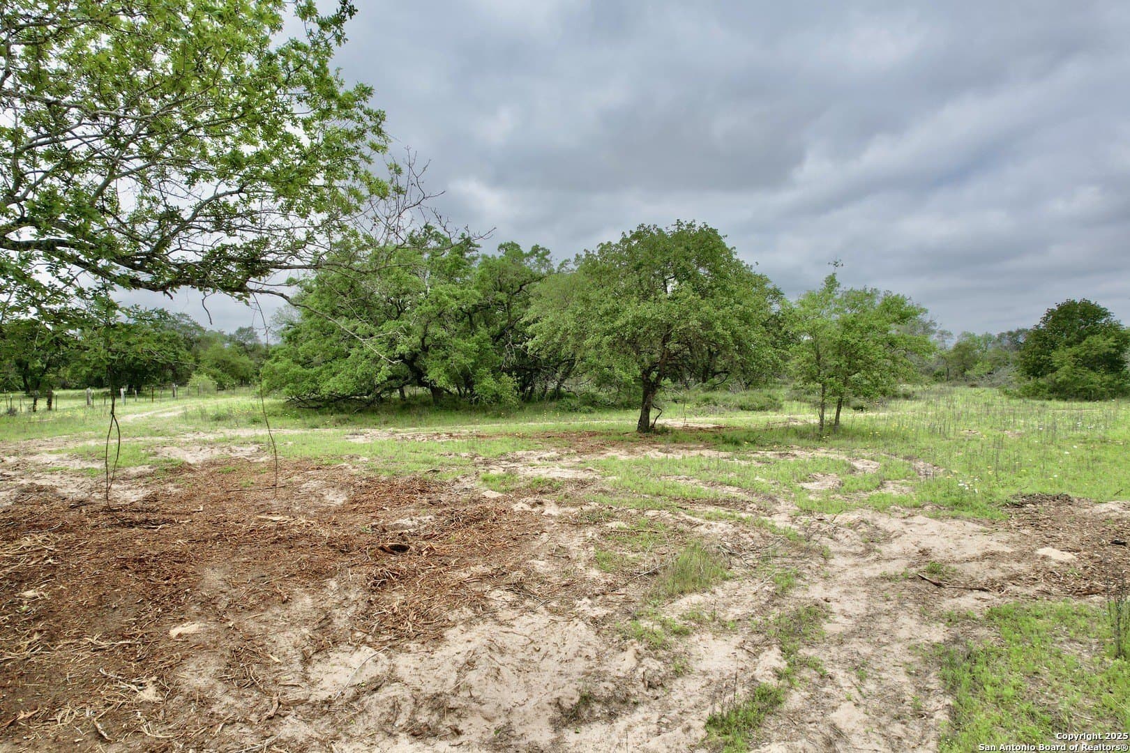 35 acres in Medina County - photo 27