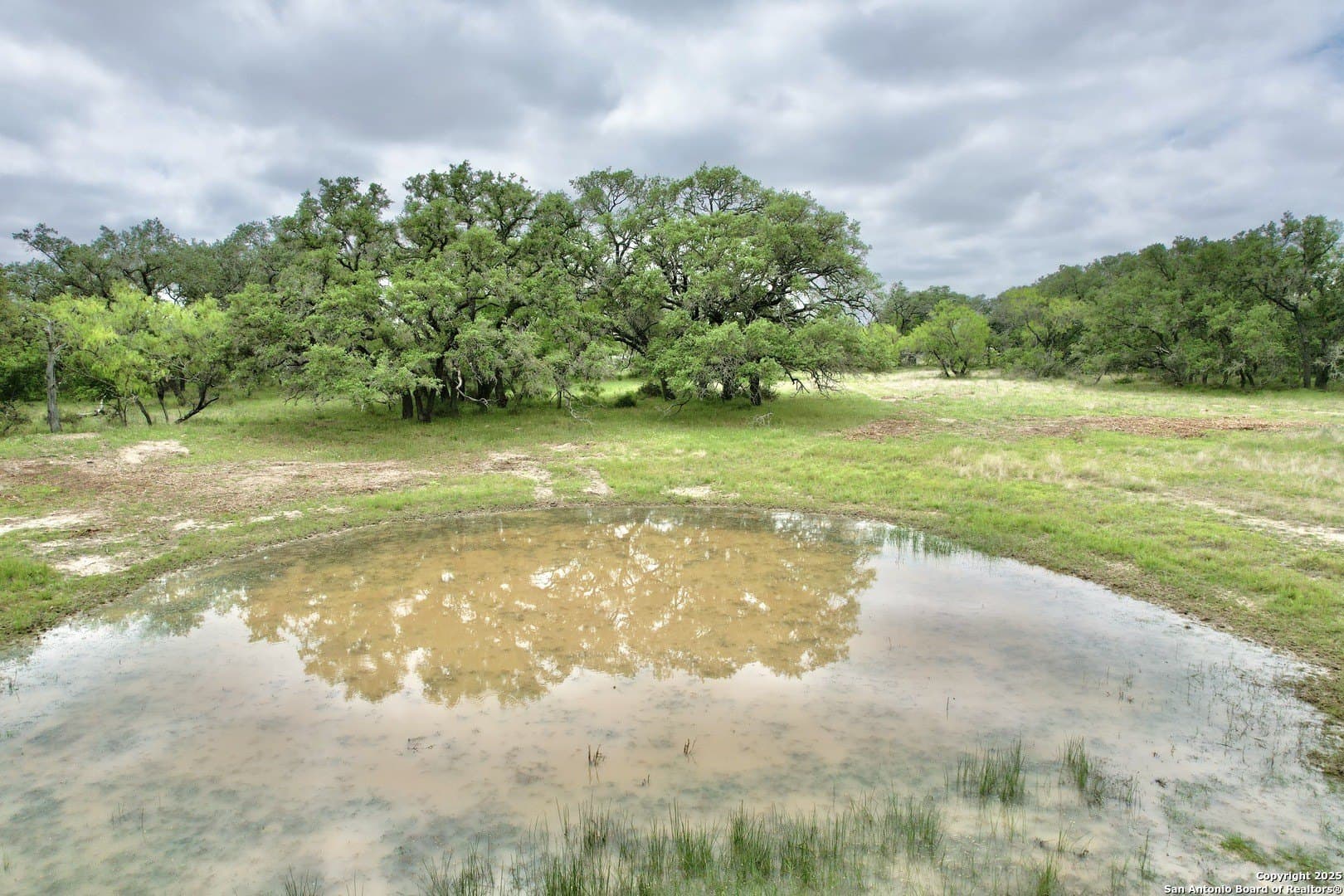 35 acres in Medina County - photo 47