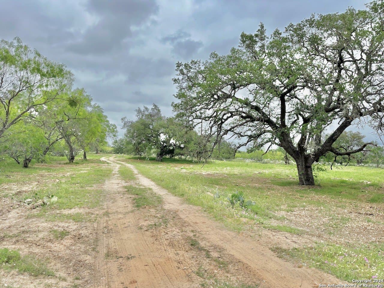35 acres in Medina County - photo 2
