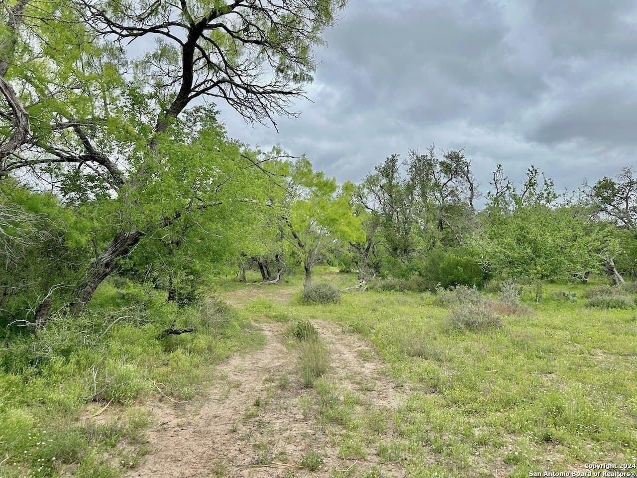 35 acres in Medina County - photo 19