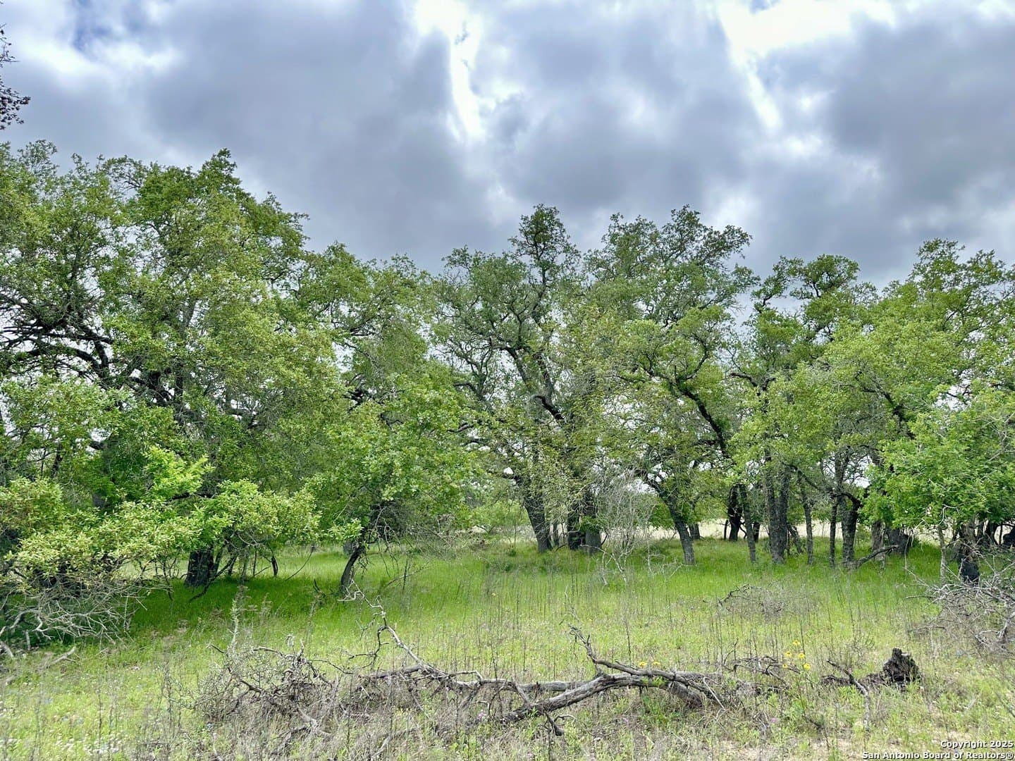 35 acres in Medina County - photo 41