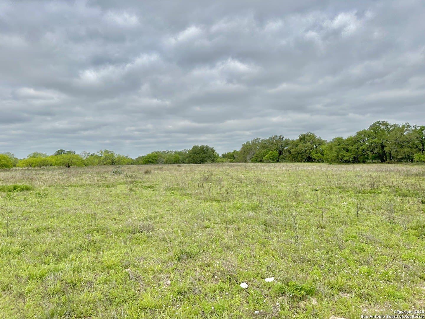 35 acres in Medina County - photo 42