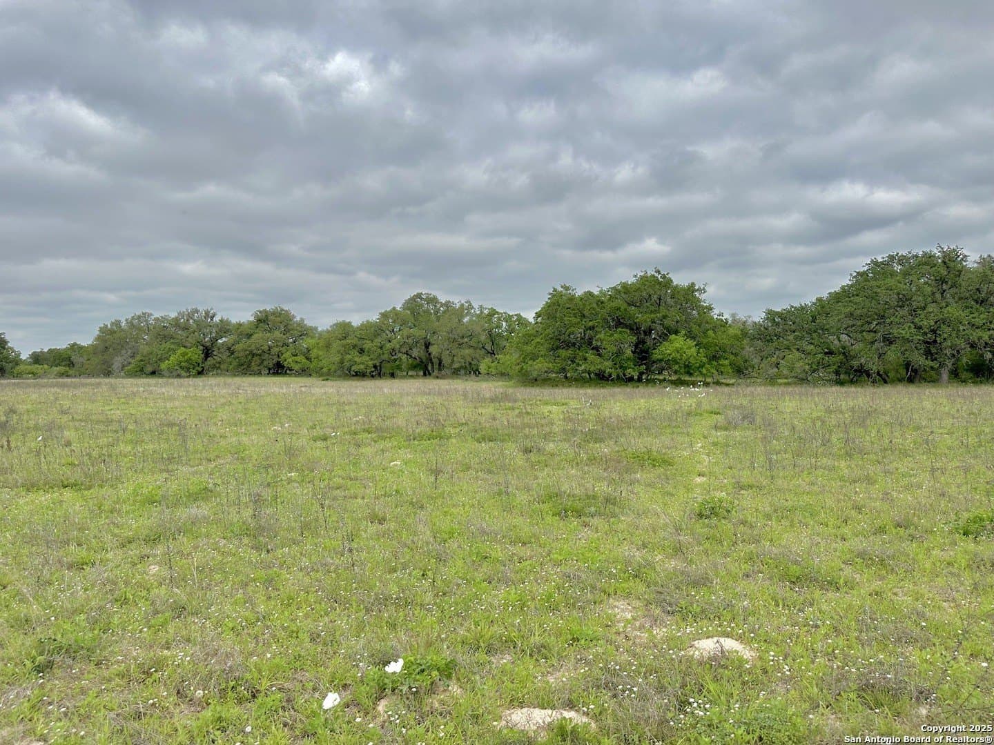 35 acres in Medina County - photo 43