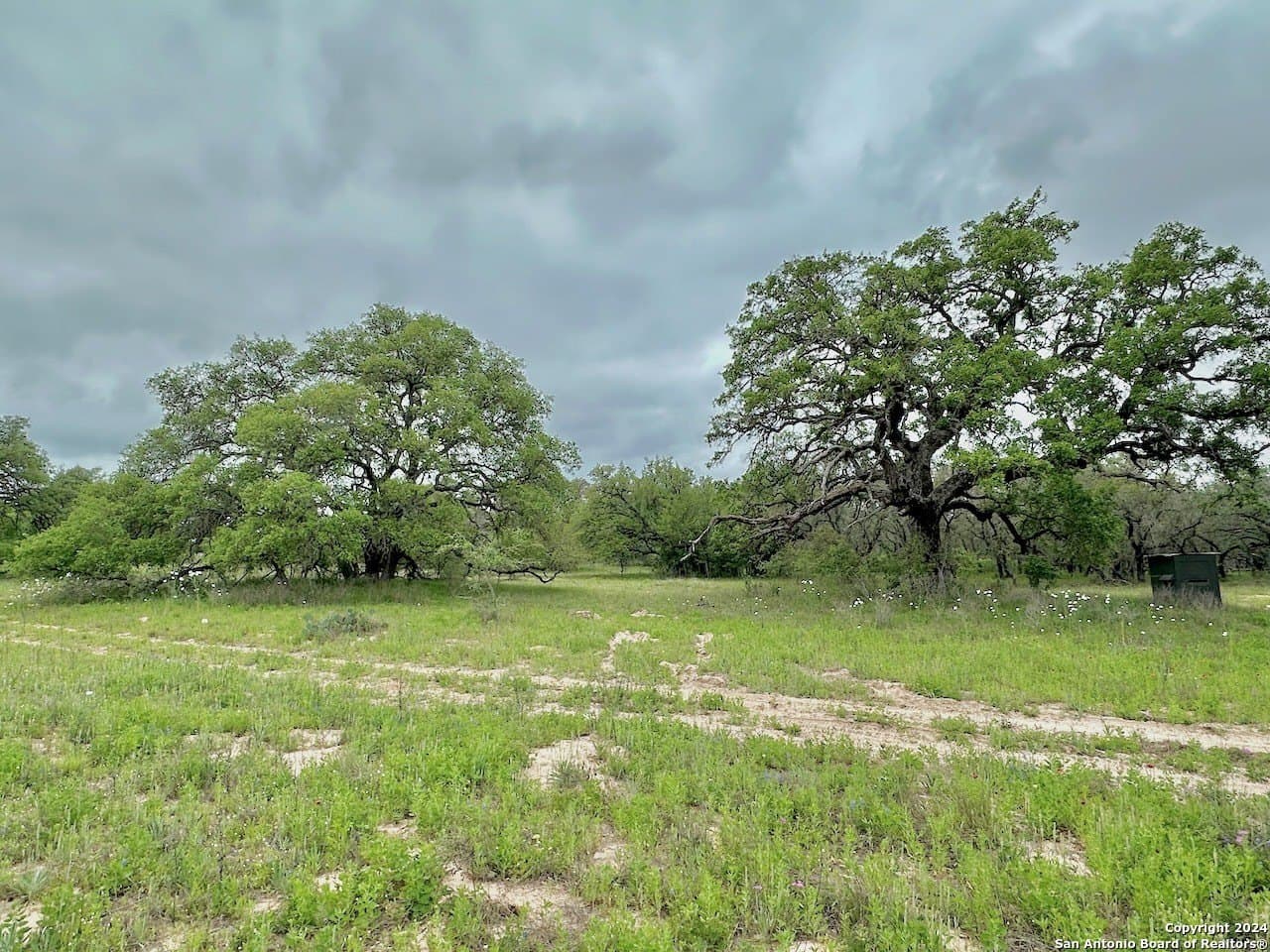 35 acres in Medina County - photo 17