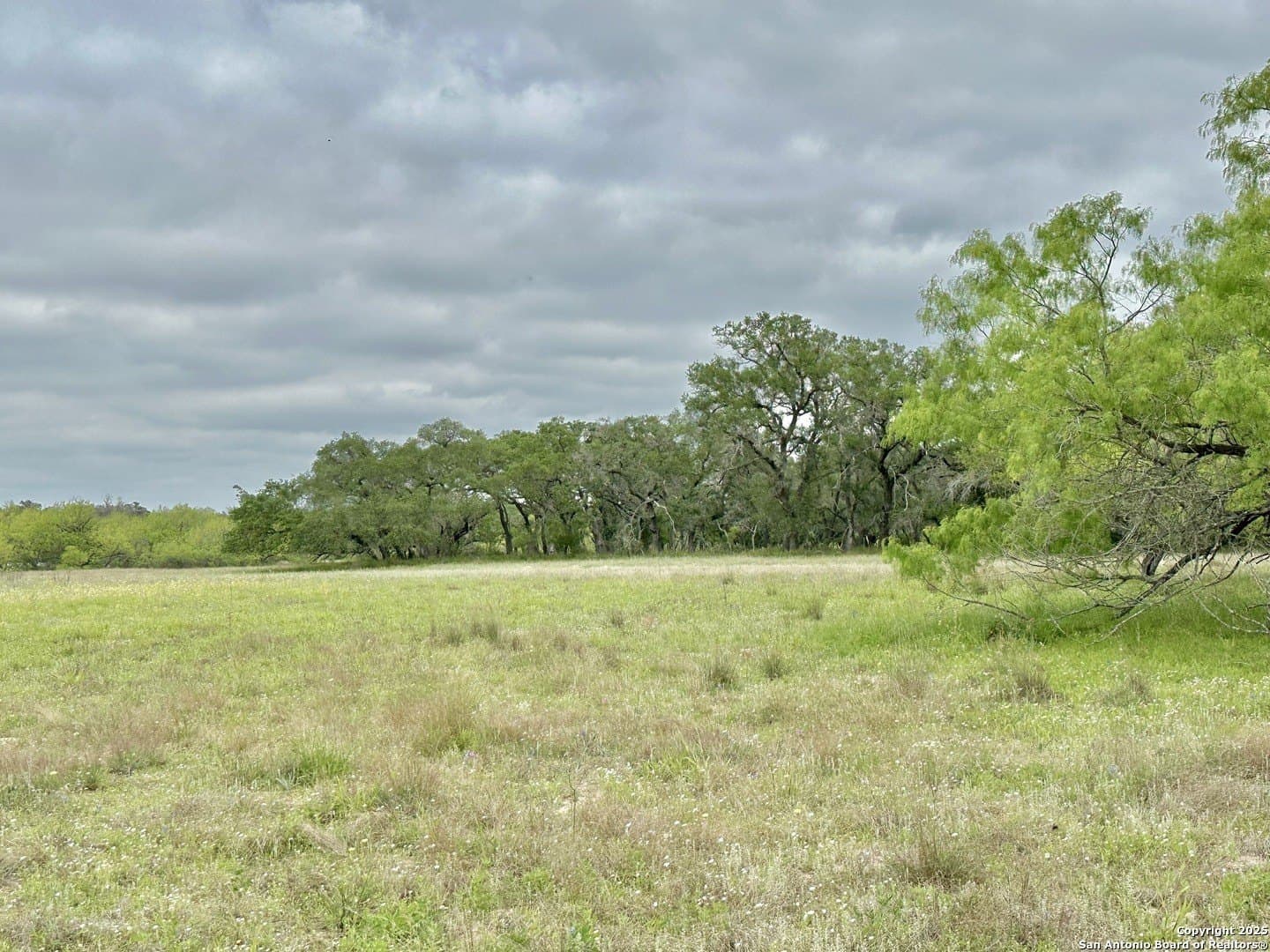 35 acres in Medina County - photo 35