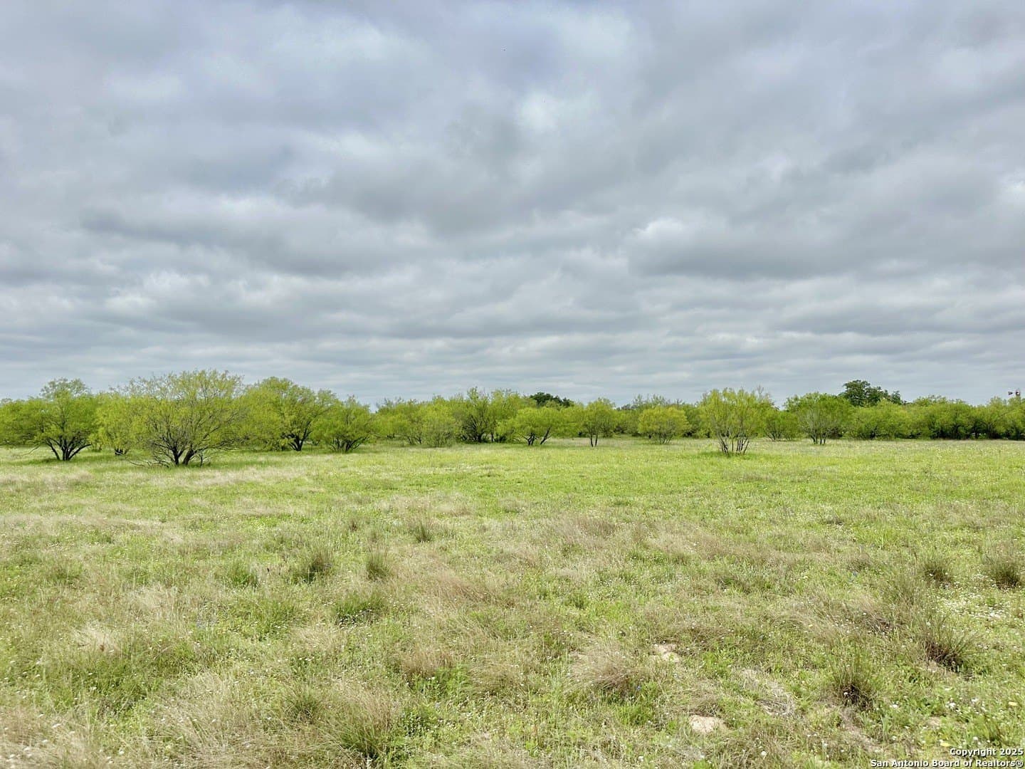 35 acres in Medina County - photo 34