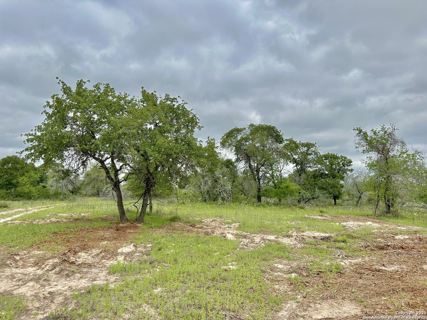 35 acres in Medina County - photo 31