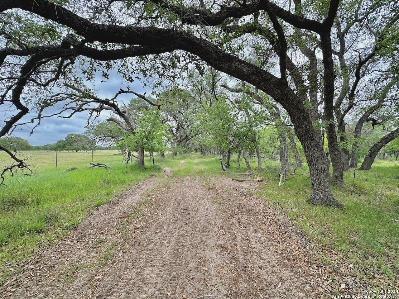 35 acres in Medina County - photo 12
