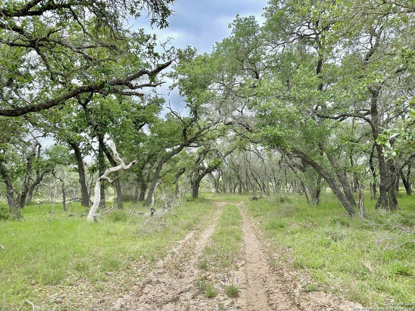 35 acres in Medina County - photo 33