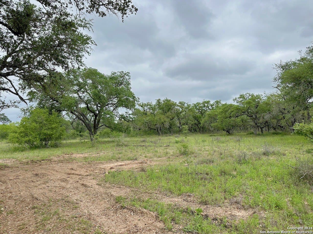 35 acres in Medina County - photo 18