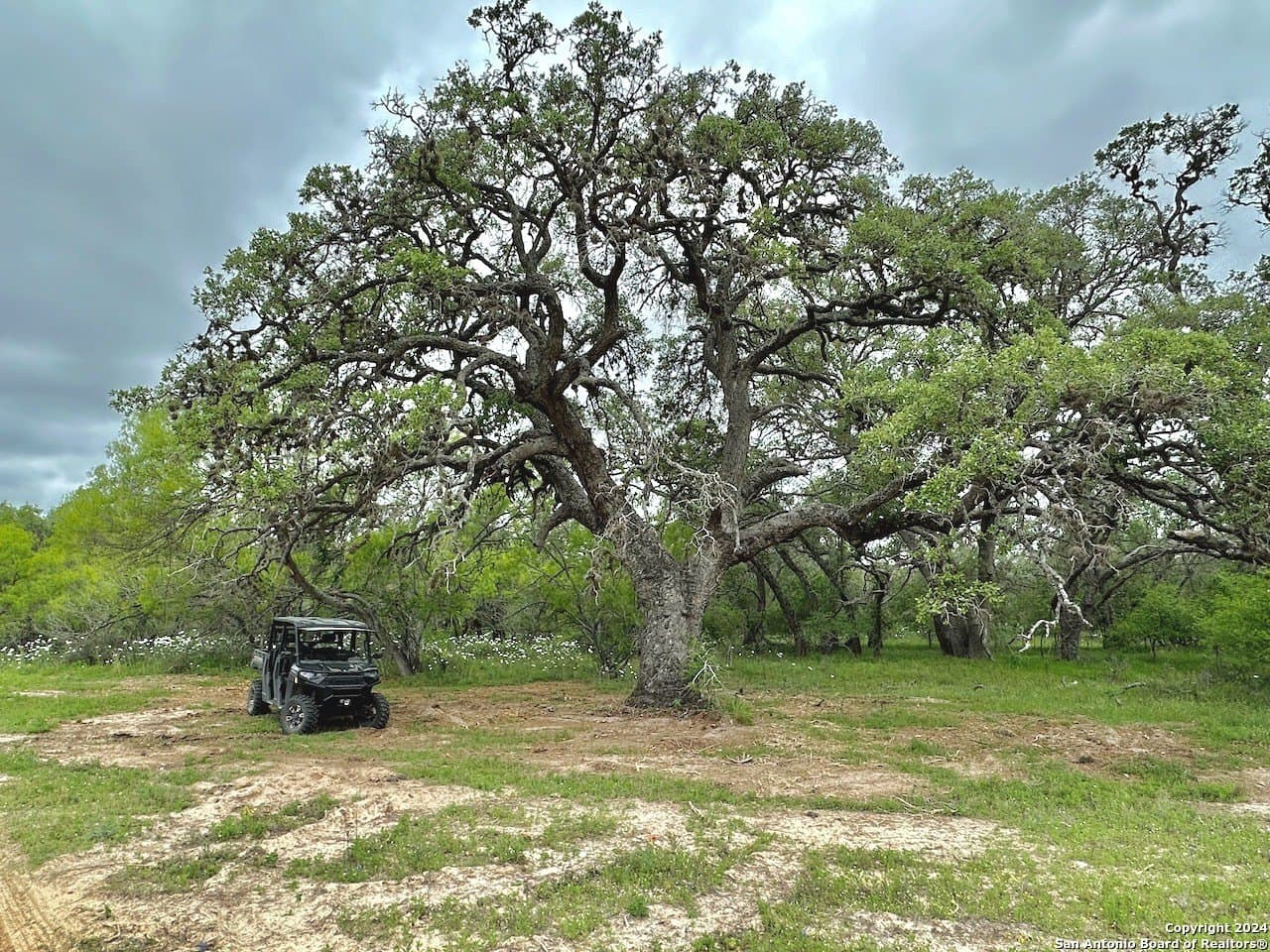 35 acres in Medina County - photo 4