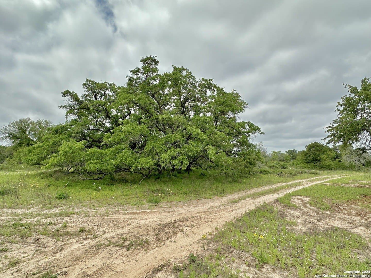 35 acres in Medina County - photo 32