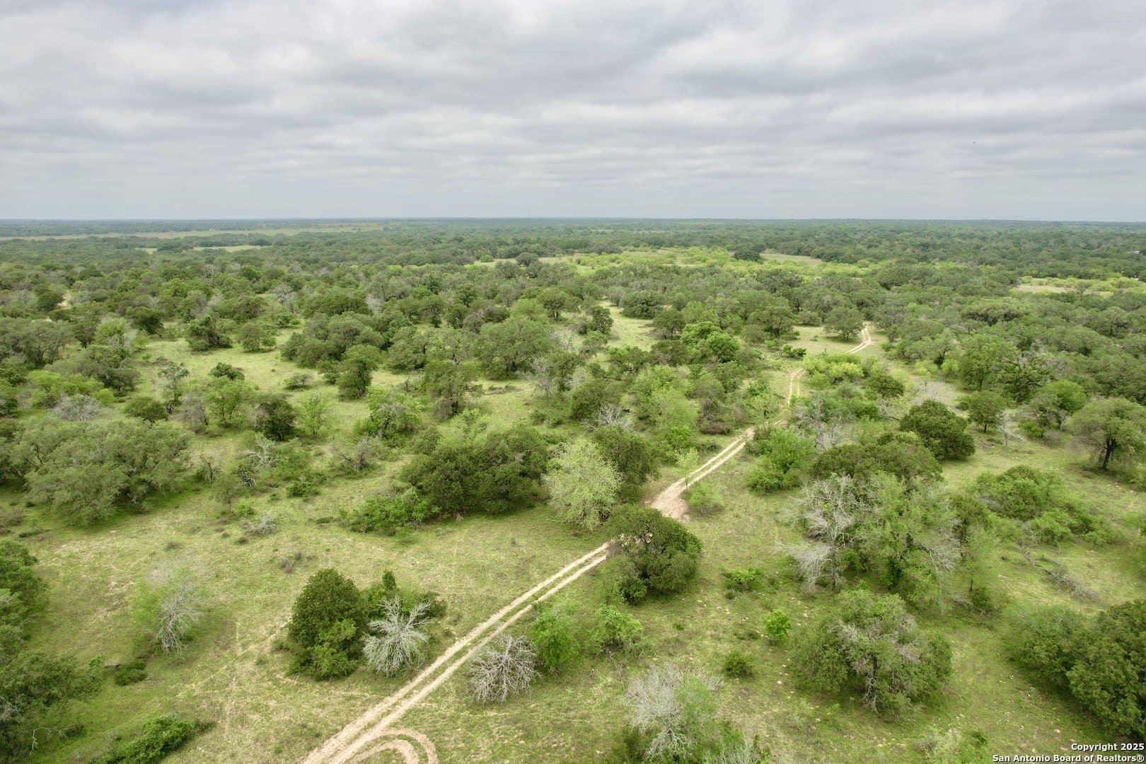 35 acres in Medina County - photo 28