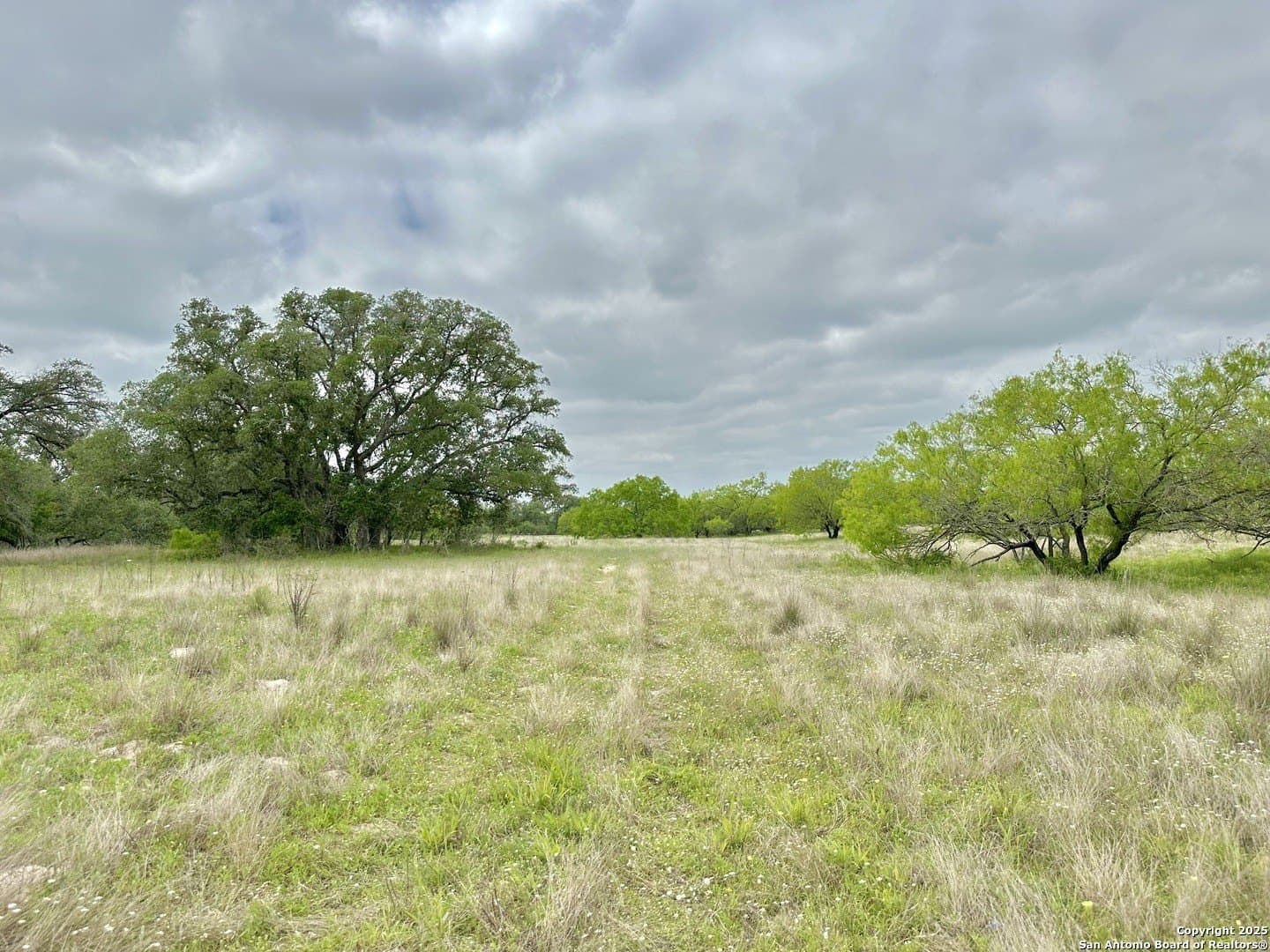 35 acres in Medina County - photo 36