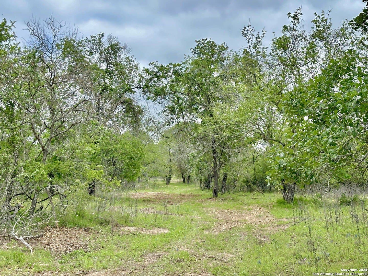 35 acres in Medina County - photo 40